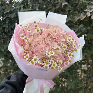 Розовый комплимент  bloom room гортензия