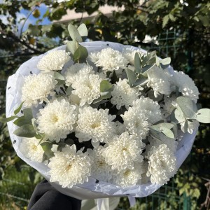 Нежный букет  bloom room хризантема