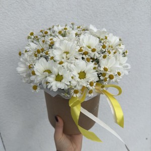 Милая композиция ромашка  Bloom room