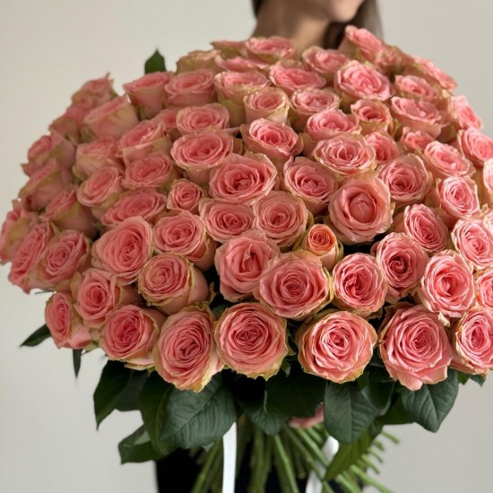 букет из 101 Розы Софи Лорен «Bloom room»