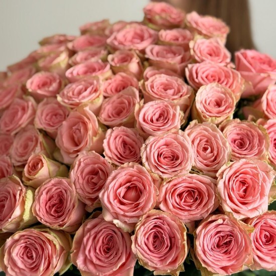 букет из 101 Розы Софи Лорен «Bloom room»