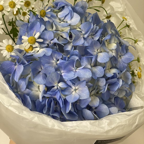 букет- комплимент BLOOM ROOM голубая гортензия и эвкалипт