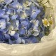 букет- комплимент BLOOM ROOM голубая гортензия и эвкалипт