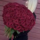 ️‍ Букет сильных чувств 101 красная роза