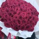 ️‍ Букет из 101 красной розы