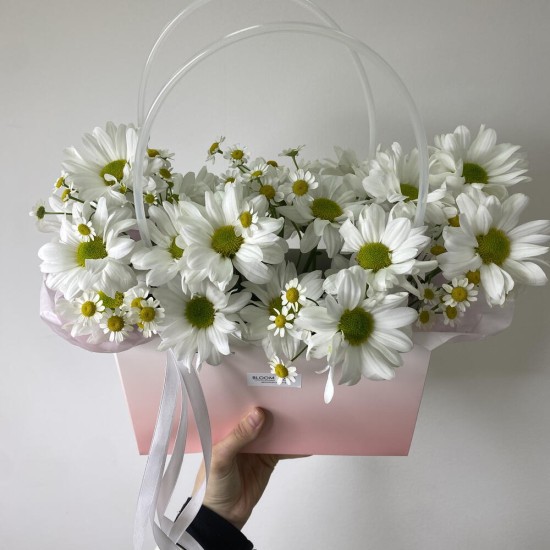 ️Сумочка с ромашками «Bloom room»